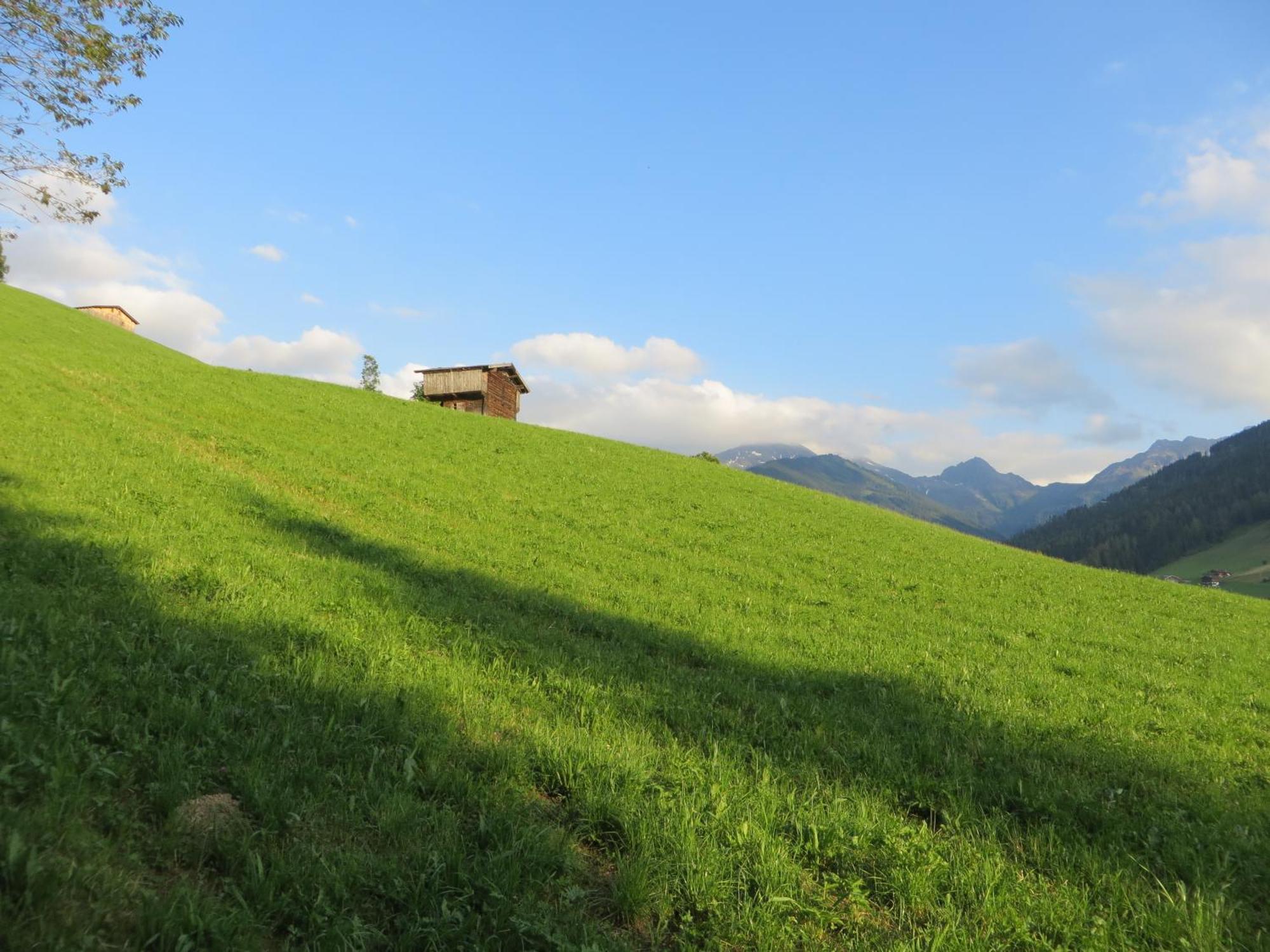 Pension Muehlbachhof Alpbach Exterior photo